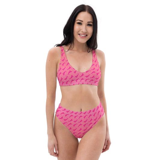 Sunset Ombré Pink Marlin Scatter Recycled high-waisted bikini